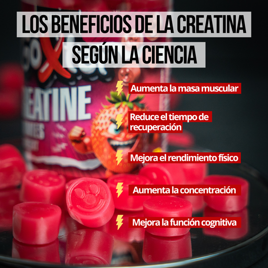 Gominolas de Creatina - Frutos del Bosque (Sin Azúcar)