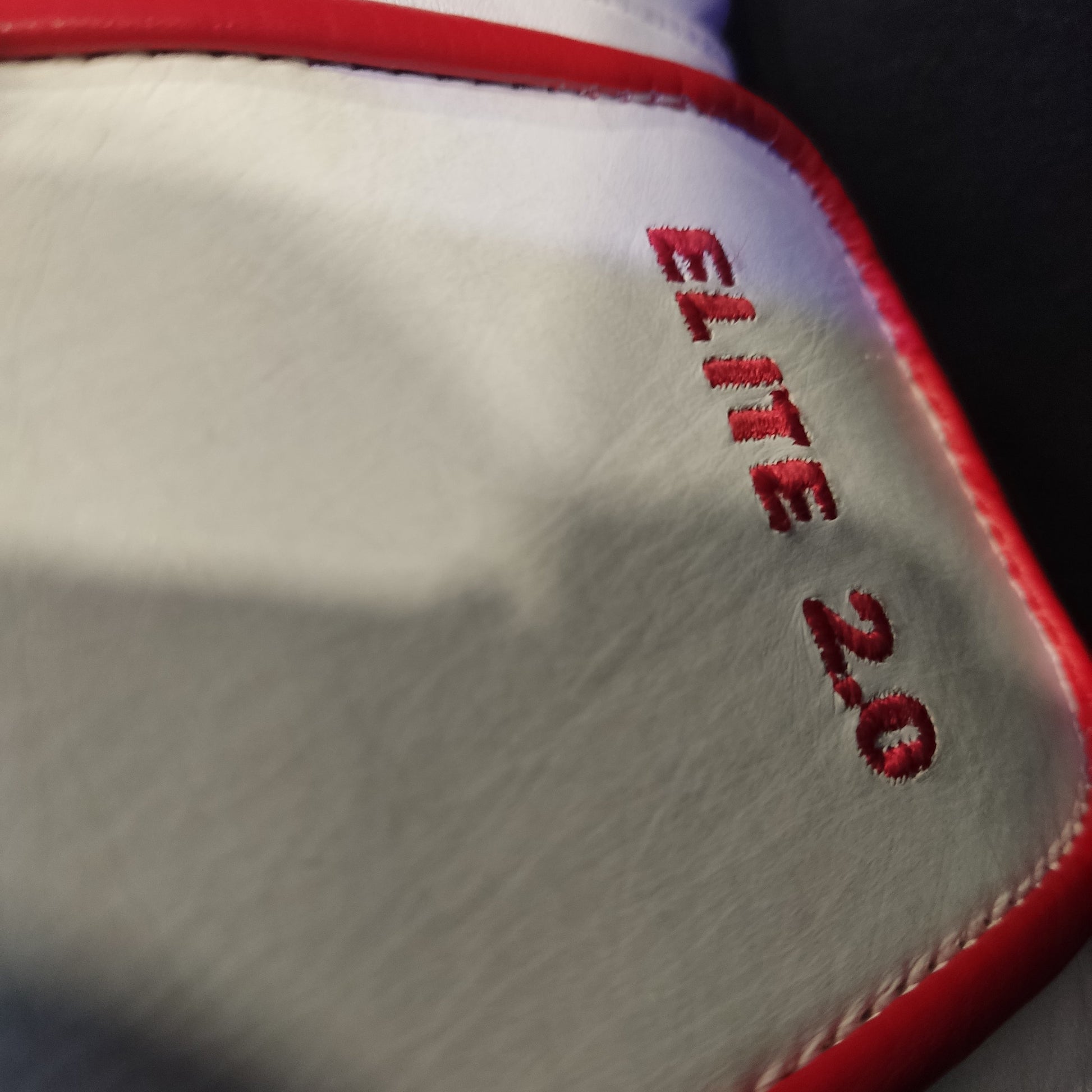 Guantes de Boxeo RG ELITE 2.0 White - Redglove 