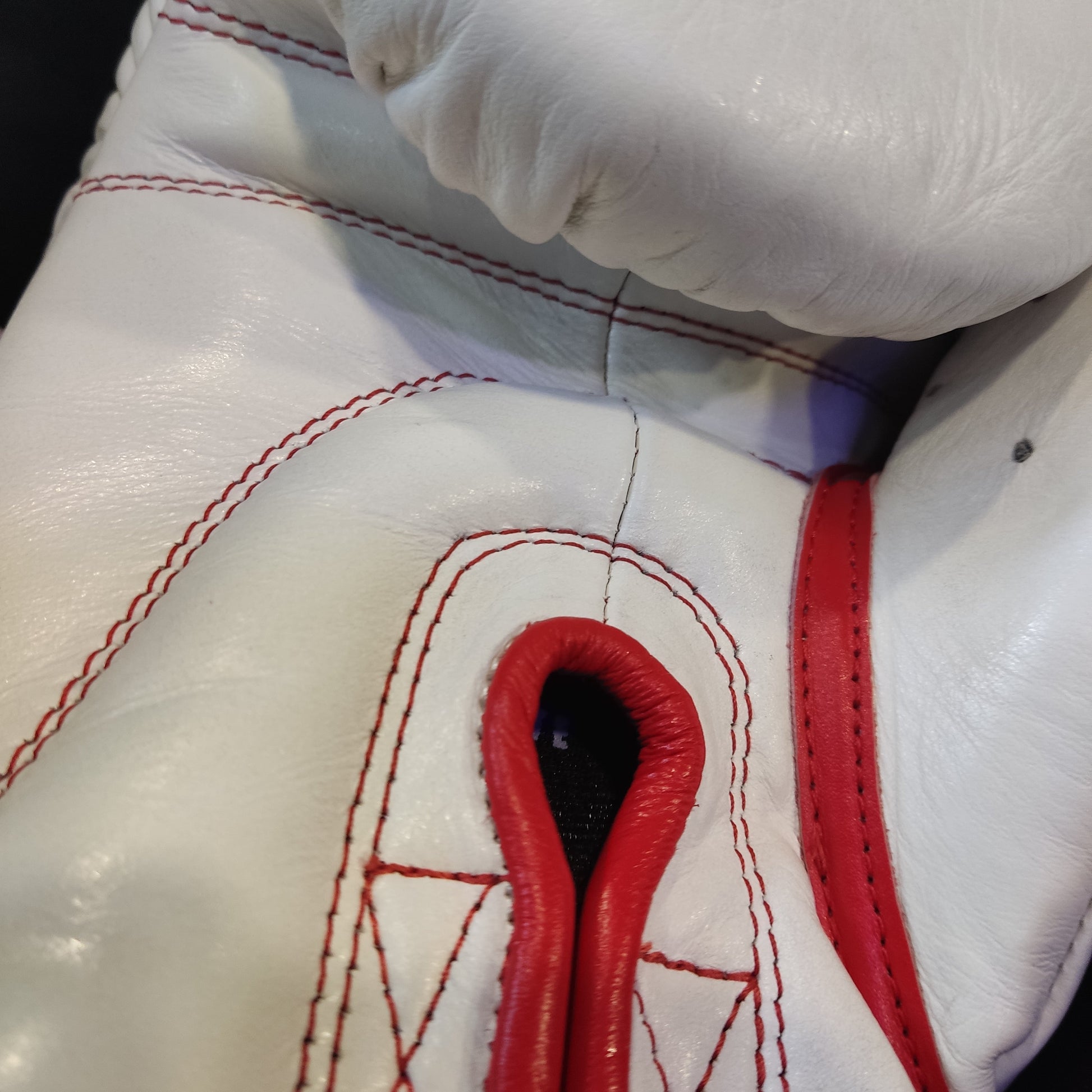 Guantes de Boxeo RG ELITE 2.0 White - Redglove