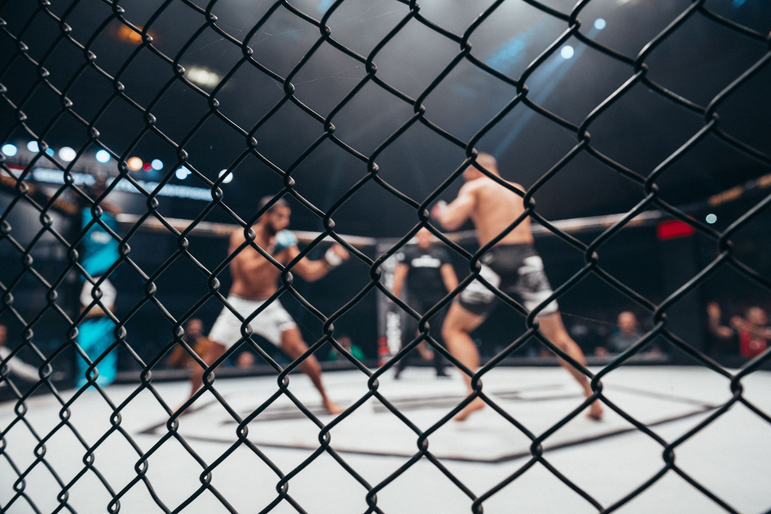 Guantillas de MMA