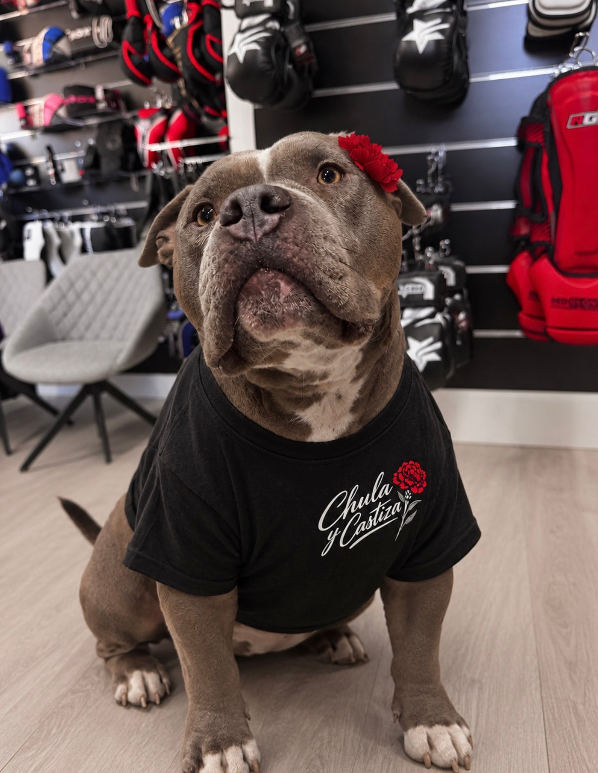 Camiseta chica/chico Alba «La Panterita» – Madrid | Redglove PREVENTA